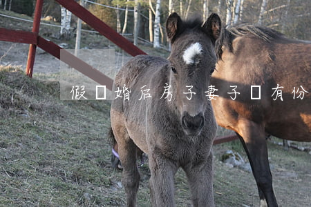 “假離婚”后，房子妻子還有份嗎？
